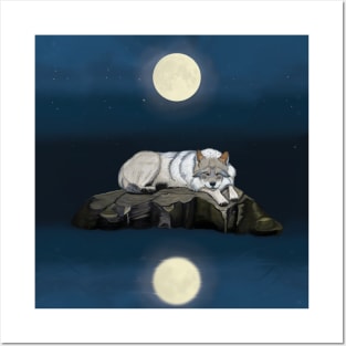 Wolf Sleeping on a Rock Posters and Art